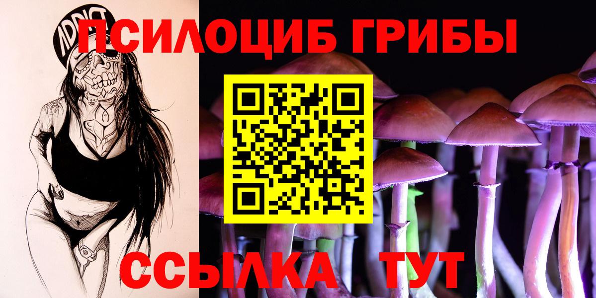 Псилоцибиновые грибы Psilocybe  Вход с VPN  Ярославль 